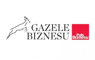 Gazele Biznesu