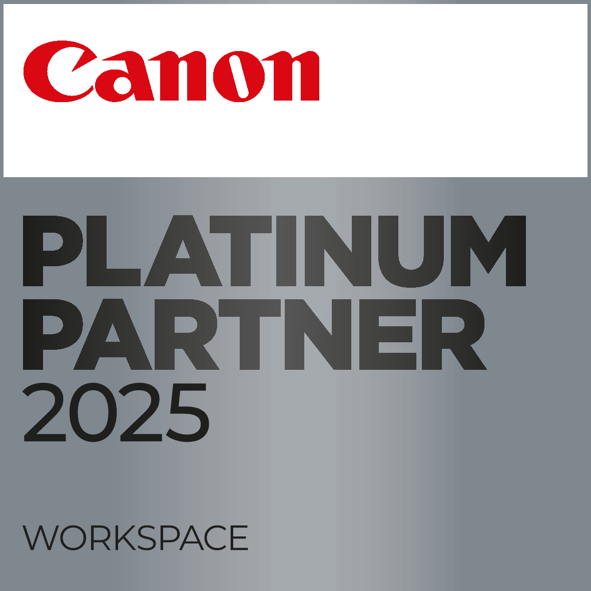 PLATINUM WORKSPACE